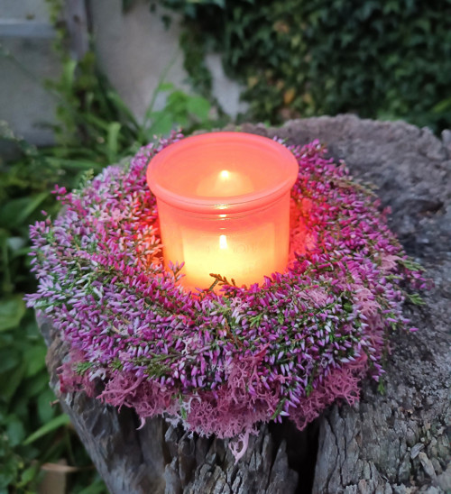 Vřesová romance — foto 5