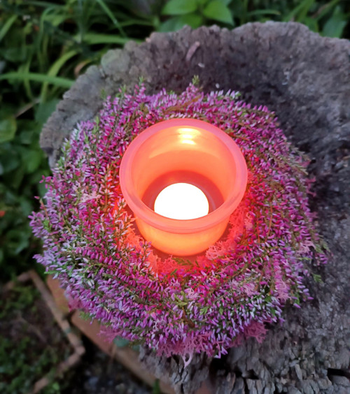 Vřesová romance — foto 4