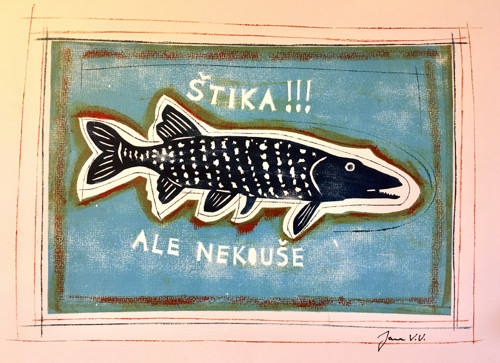 Štika, ale nekouše… — foto 3