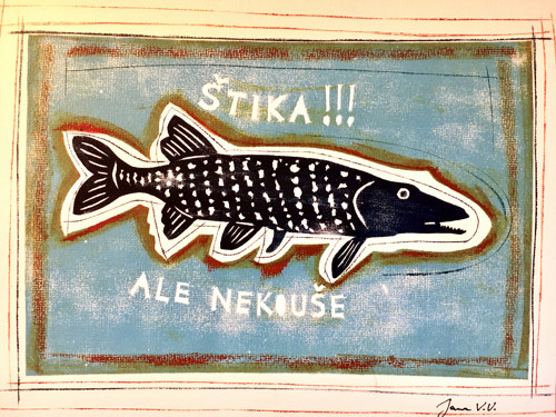Štika, ale nekouše… — foto 2