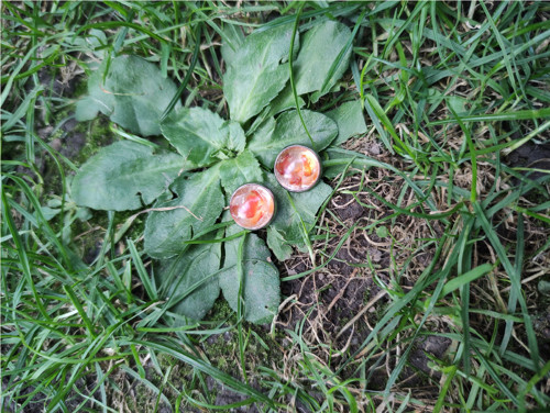 Náušnice puzetky s karneolem — foto 2