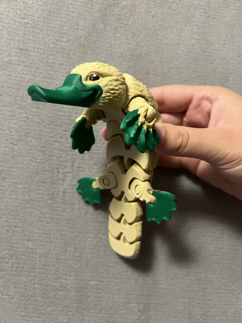 Roztomilý ptakopysk - 21 cm - 3D Tisk — foto 3