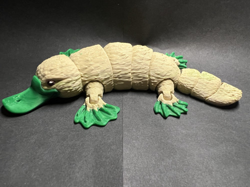 Roztomilý ptakopysk - 21 cm - 3D Tisk — foto 4