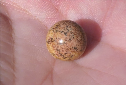 Kulička 12,2 mm - jaspis obrázkový V501 — foto 2