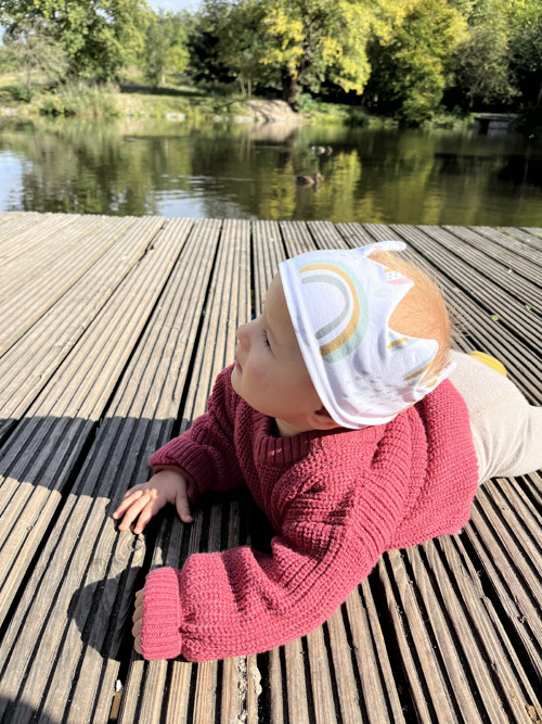 Čelenka korunka — foto 4
