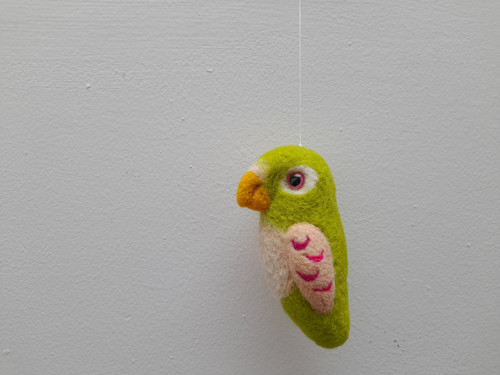 Lorinka je papoušek :) ... — foto 3