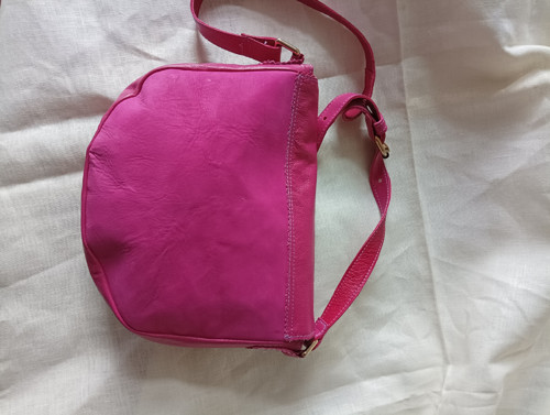 Fuchsie — foto 3