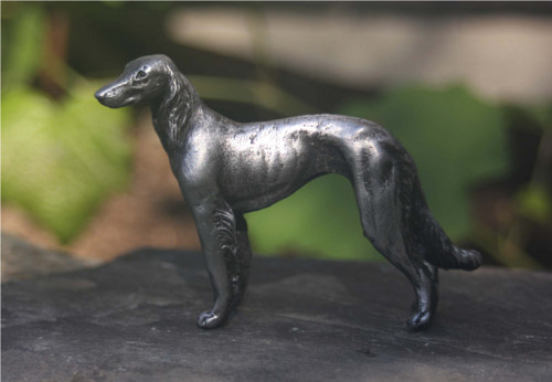 Saluki — foto 2
