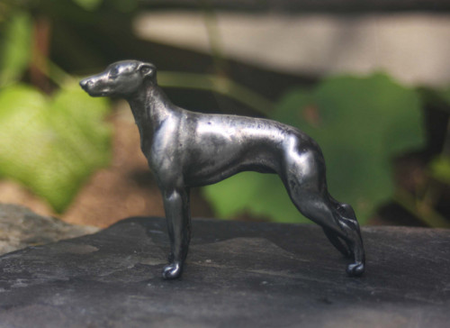 Greyhound — foto 2