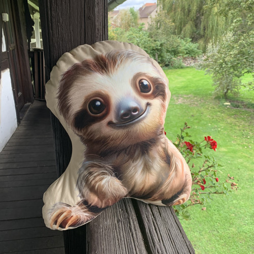 Polštář 3D - Lenochod — foto 2