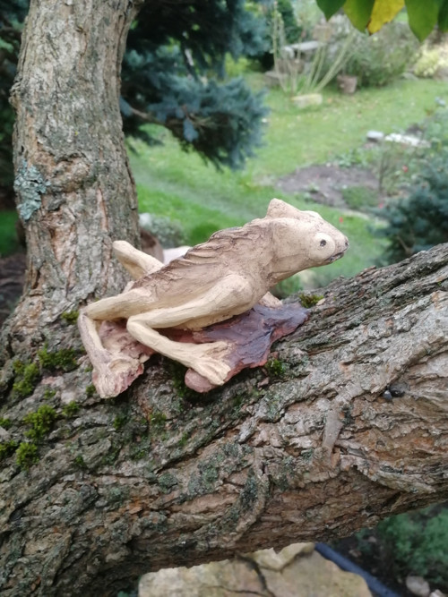 Chameleon — foto 3