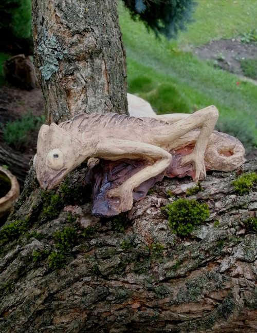 Chameleon — foto 2