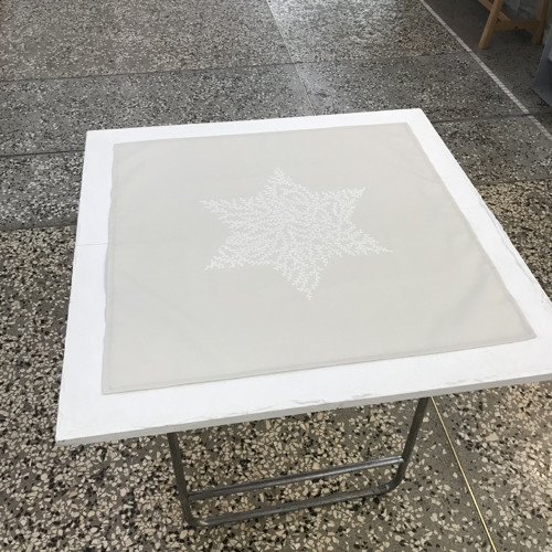 Středovka velká- hvězda — foto 5