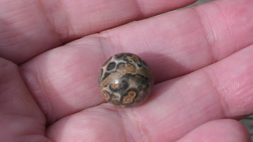 Kulička 12,1 mm - jaspis leopardí V522 — foto 2