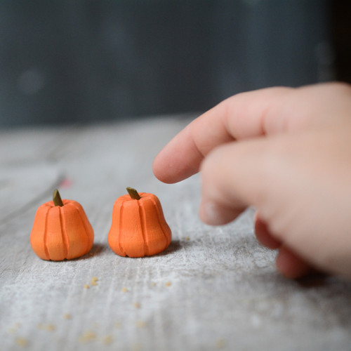 Miniatura/ Malá dýně — foto 2