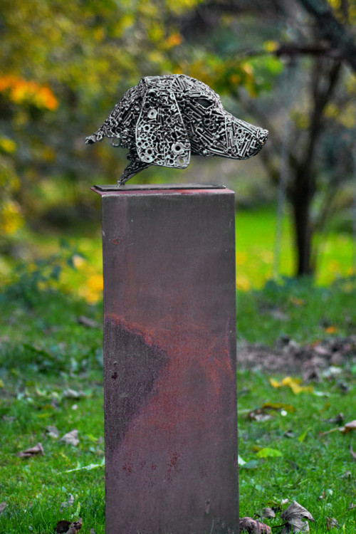 Hlava Ohaře — foto 2