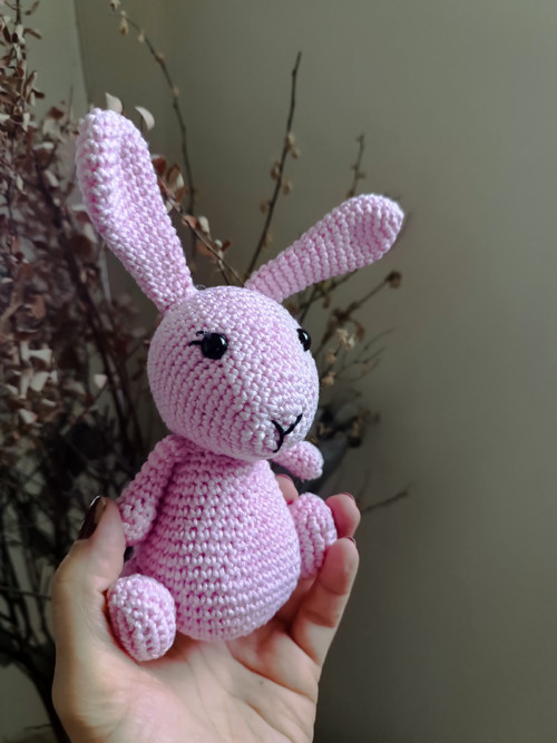 Růžový králíček — foto 3