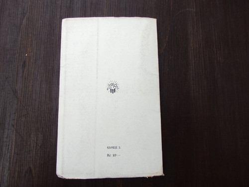 Opuštěná žena — foto 6
