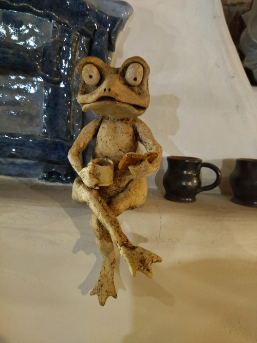 Žabák čtenář — foto 2