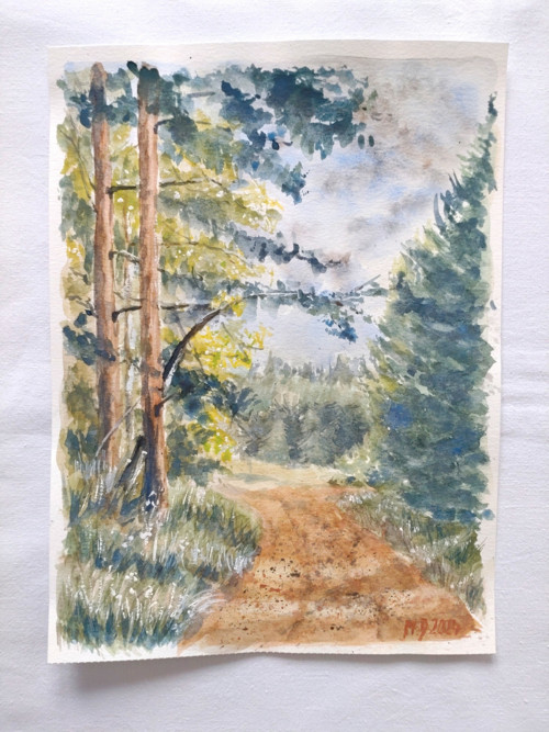 Lesní cesta — foto 2