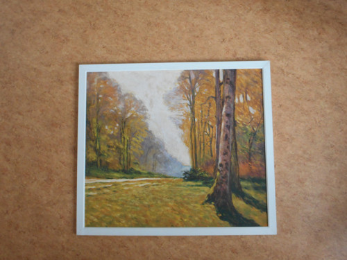 Toulky v Chailly — foto 6