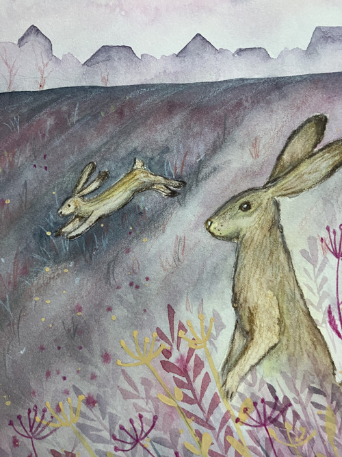 Originál ilustrácia Zajačky poľné — foto 4