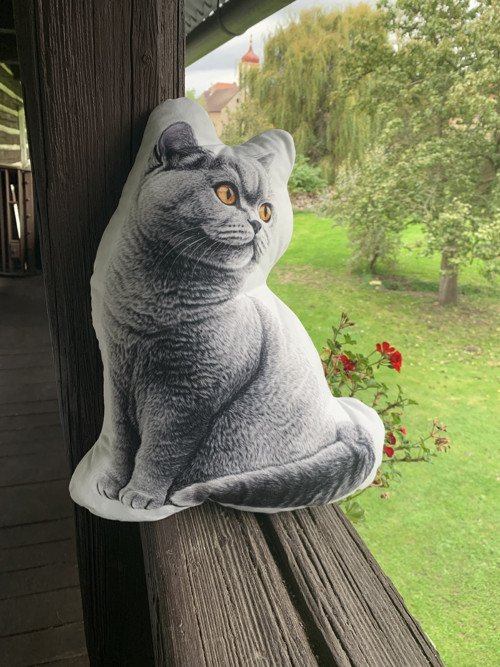 Polštář 3D - Kočka šedá — foto 2