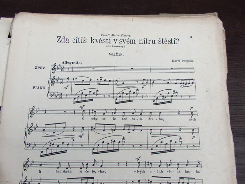 Štěstí v nitru — foto 2