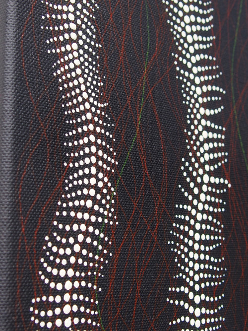 Kapradí — foto 2