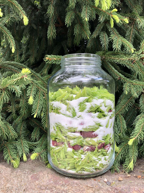 Sirup Smrkový — foto 4