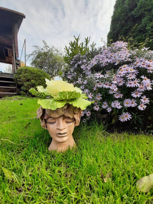 Kytková hlava 2 — foto 3