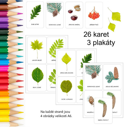 STROMY - demonstrační karty + 3 plakáty PDF — foto 2