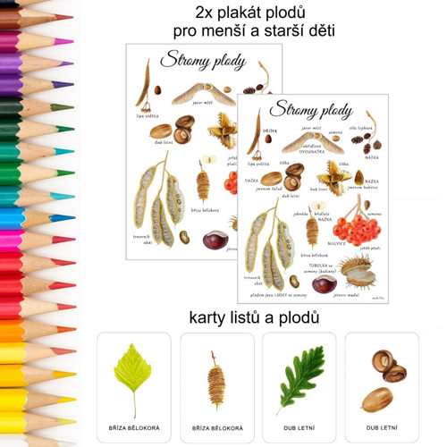 STROMY - demonstrační karty + 3 plakáty PDF — foto 3