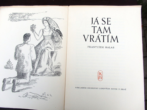 Já se tam vrátím — foto 2