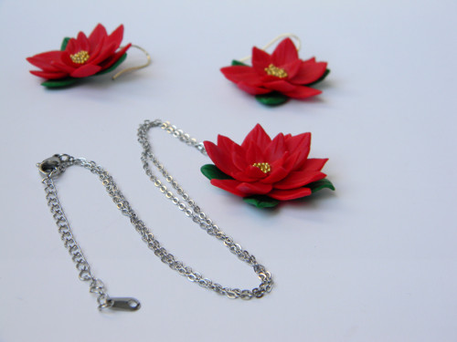 Poinsettia — foto 2
