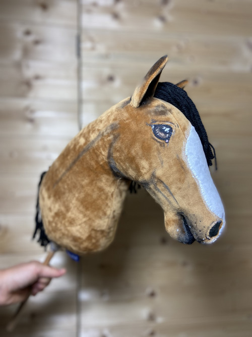 Velšský pony - Hobby horse — foto 3