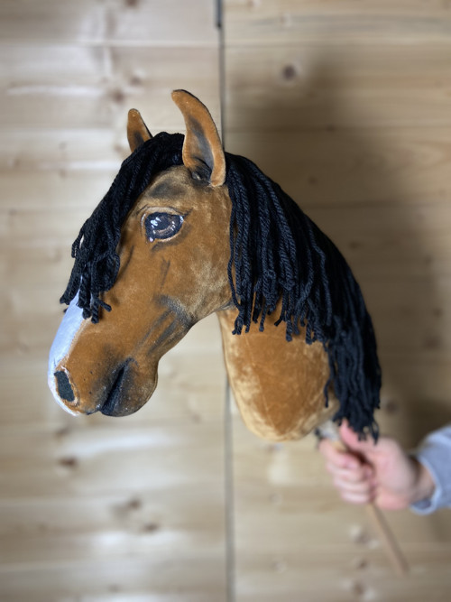 Velšský pony - Hobby horse — foto 2
