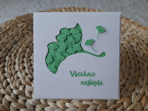 Ginkgo III. — foto 2