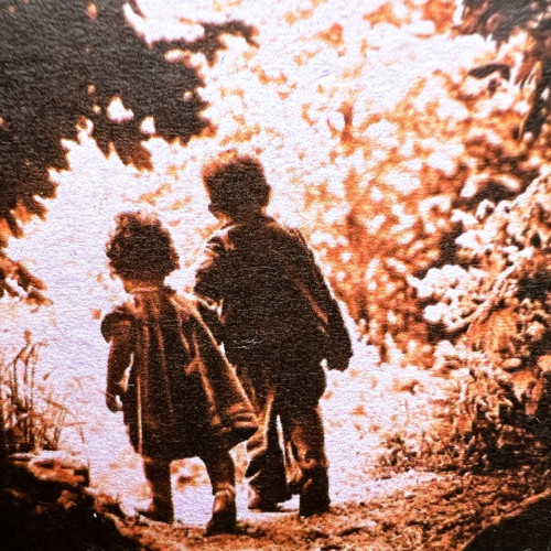 Tajemná zahrada — foto 2