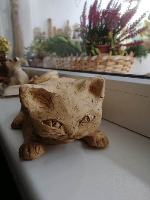Světlý kocourek — foto 5