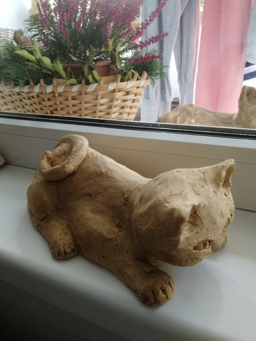 Světlý kocourek — foto 4