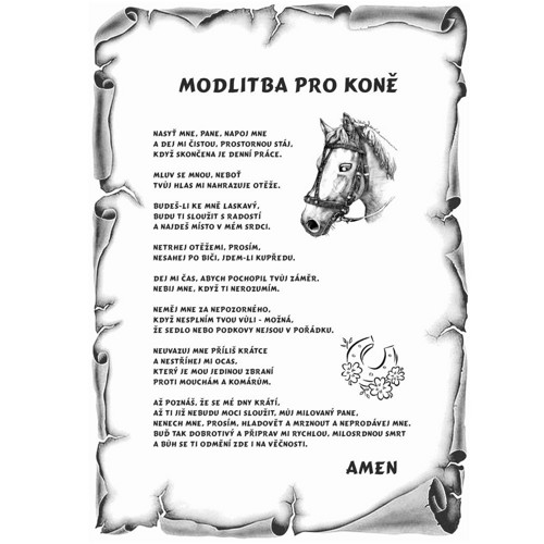 783 / Modlitba pro KONĚ - pergamen VELKÝ — foto 2
