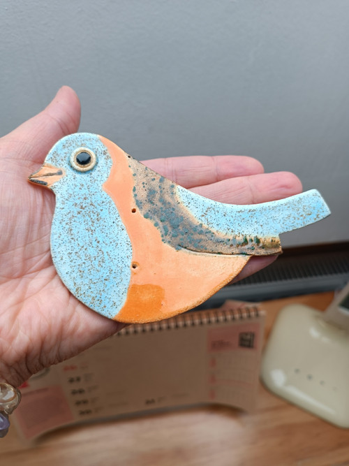 Ptáček — foto 4