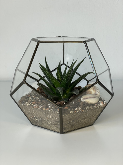 Florarium "Pětiúhelník" — foto 6