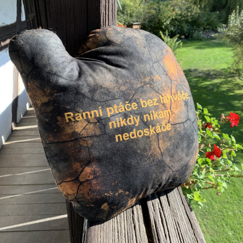Ranní ptáče bez lahváče ..... - 3D polštář — foto 2