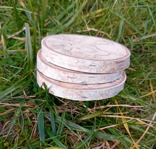 Březová kolečka s kresbou — foto 2