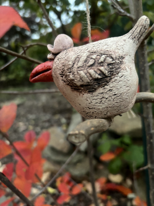Podzimní pták — foto 4