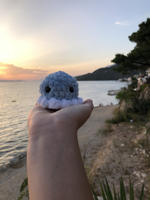 Chobotnice — foto 2