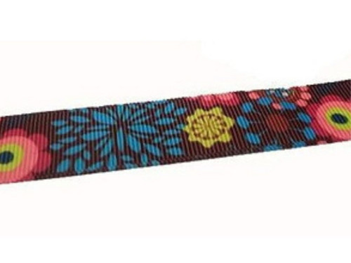 Obojek Dinofashion Retro — foto 2