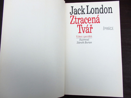 Ztracená tvář — foto 2
